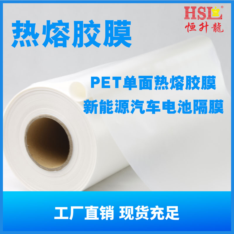 雅安pet熱熔膠膜